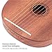 QANYEGN 7 String Lyre Harp, Wooden 7 Metal String Instrument, Rosewood Lyre Harp with Turning Wrench for Friends, Family, or Children