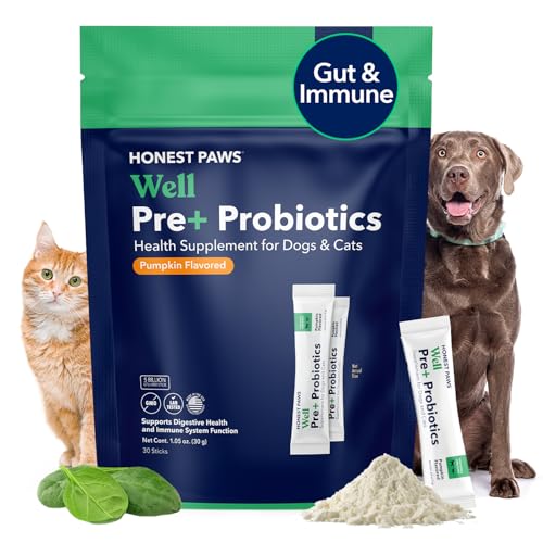 Honest Paws Probiotics for Dogs - Dog Digestion Gut Health Probiotic Powder with Prebiotic Made in The USA, Digestive and Immune Support - Digestive Enzymes with Pumpkin Flavor (30 Sticks)