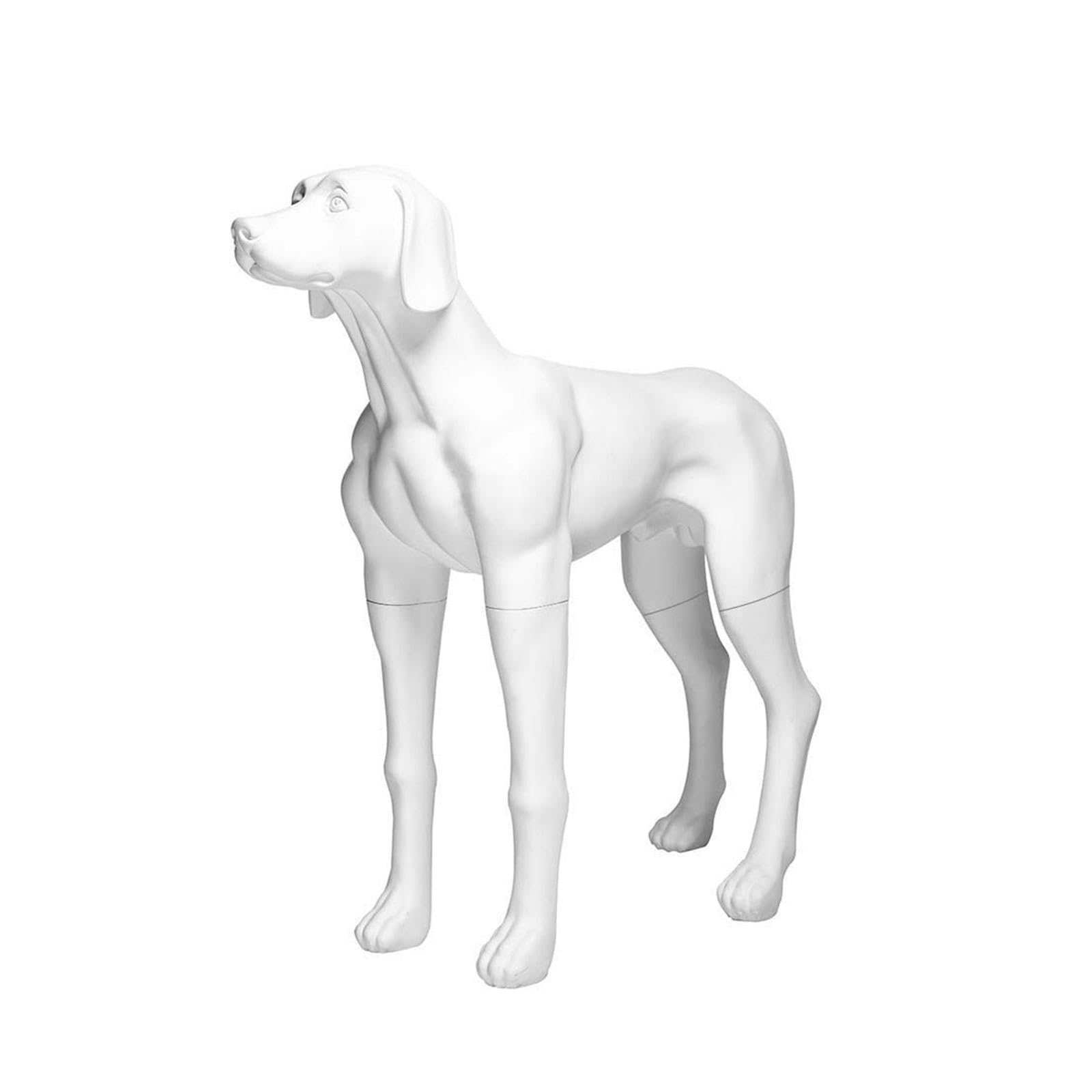 Modello di Visualizzazione di Abbigliamento per Animali Domestici, Manichino per Cani, Materiale FRP, Modello di Visualizzazione Multifunzionale Bianco Staccabile per Cani di Grandi