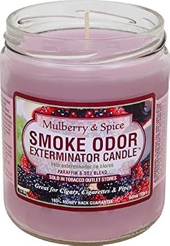 Odor Exterminator Candle Mulberry and Spice 13oz by Smokers Candle