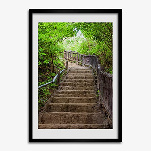 Cadre photo affiche 50x70 cm de qualité supérieure paysage forestier