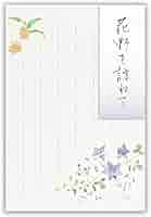 Amazon | はがき【5枚入 縦書き 罫線あり 郵便番号枠あり】秋二