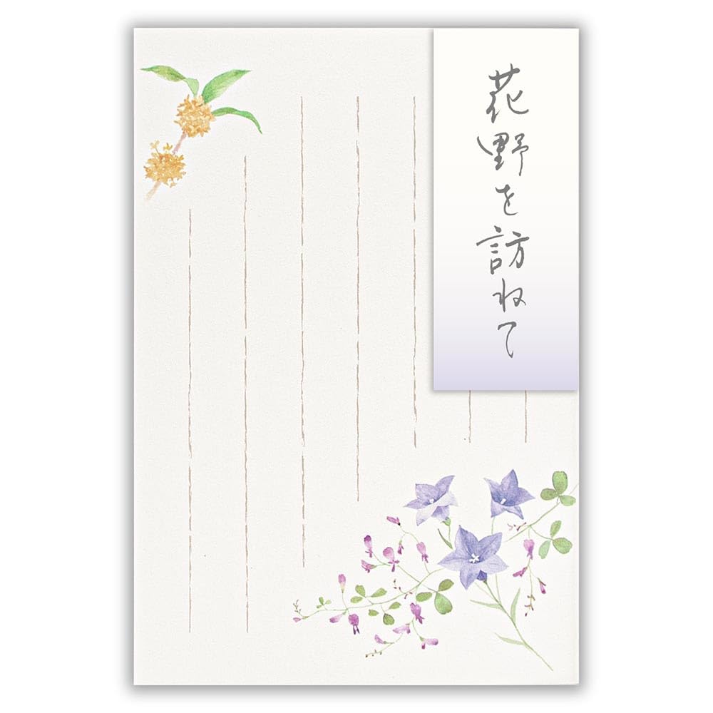 KRNさま専用ページ＊葉書14枚 Amazon | はがき【5枚入 縦書き 罫線あり 郵便番号枠あり】秋二