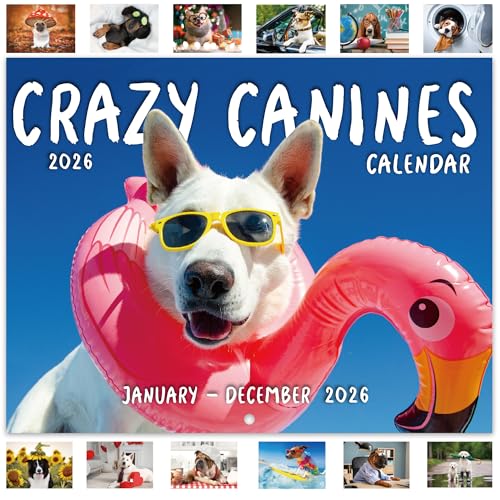 Dog 2026 Calendar Funny Dogs - A4 Crazy Canines Calendar 2026 from Jan. to Dec. 2026 2026 calendar UK with Julian Date 21 × 29.7cm Opens to A3
