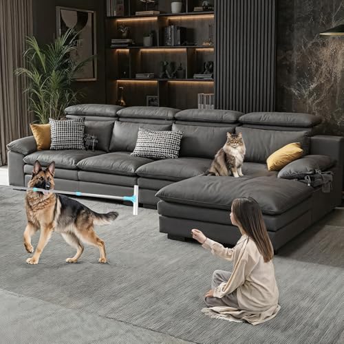 Image of Carpet Rake for Pet Hair Removal, 54-Inch Adjustable Handle, Aluminum Alloy Deep Cleaner, Reusable Cat & Dog Hair Remover for Couches, Rugs, Mats, Fabric Furniture