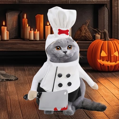 Disfraz de chef para gato en Halloween y fiestas de cumpleaños de mascotas 6