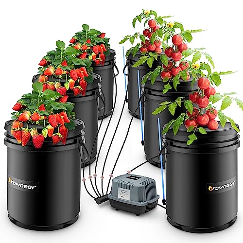 What Is Hydroponic Gardening Best Practices The Gardener