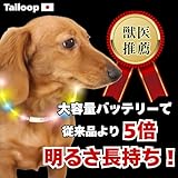 Tailoop [獣医師推薦] 光る首輪 [一度の充電で30時間使える] 犬 散歩 ライト 小型犬 大型犬 サイズ調節可能 （虹色,70cm）