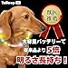Tailoop  光る首輪  犬 散歩 ライト 小型犬 大型犬 サイズ調節可能