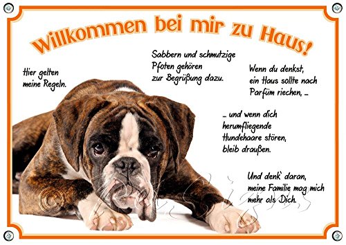 Petsigns Hundeschild - Deutscher Boxer - Metallschild Willkommen - uv-beständig, DIN A4