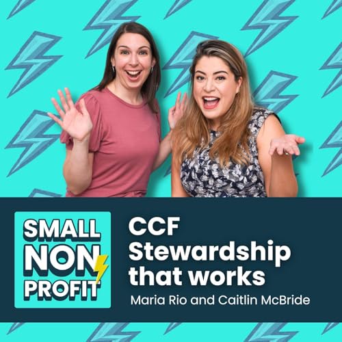 Donor Stewardship: Community-Centric Segmentation and Practices