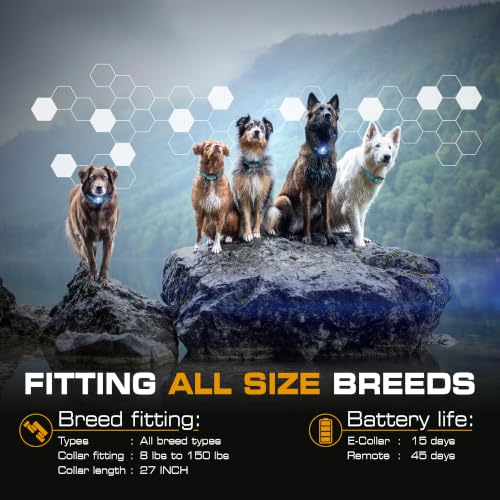 Image of INVIROX Ultra K9 Dog Training Collar with Remote for Large Breeds