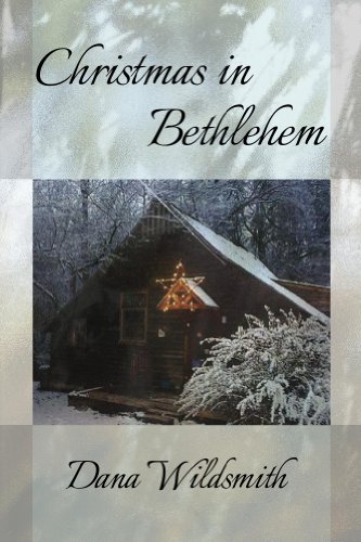  Christmas in Bethlehem (English Edition)