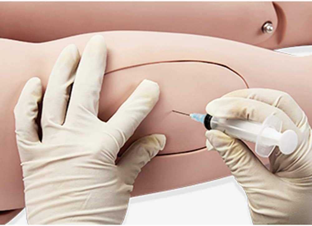 PASPRT Maniquí de Cuidado del Paciente de tamaño Natural de 170 cm, simulador de RCP, Habilidades básicas de enfermería Geri, Modelo Humano geriátrico con genitales Intercambiables (Female)