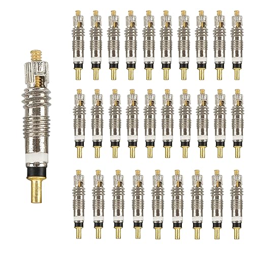 ASYKNM 30 Pièces Presta Valve Cores Obus Valve Presta Obus