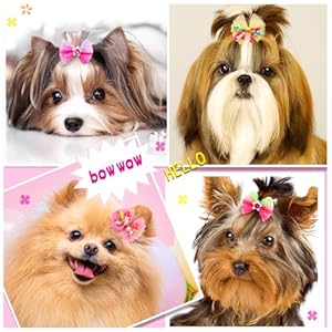 80pcs Small Dog Hair Bows, Cute Pet Dog Grooming Bows with Rubber Bands, Bulk Handmade Puppy Dog Bows with Curly Ribbon Rhinestones and Pearl for Dog Hair Accessories 80pcs Small Dog Hair Bows, Cute Pet Dog Grooming Bows with Rubber Bands, Bulk Handmade Puppy Dog Bows with Curly Ribbon Rhinestones and Pearl for Dog Hair Accessories