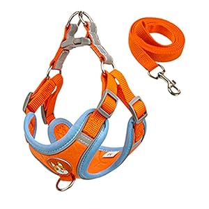 SonoReno Harnais pour Chien – Harnais Respi...