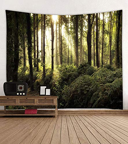 Tapisserie polyester imperméable pour habiller et protéger un grand mur