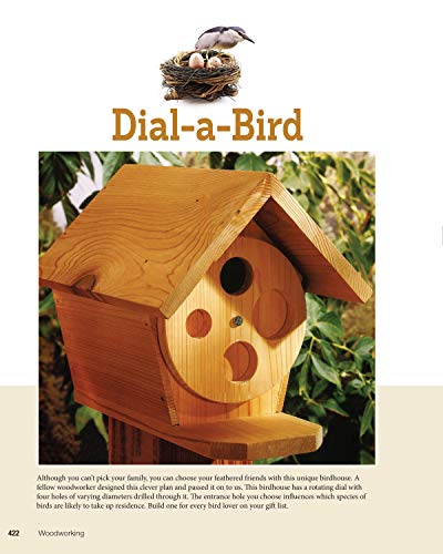 Woodworking: The Complete Step-by-Step Guide to Skills, Techniques, and Projects (Fox Chapel Publishing) Over 1,200 Photos & Illustrations, 41 Complete Plans, Easy-to-Follow Diagrams & Expert Guidance - Image 10