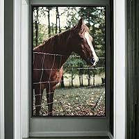 Framed Canvas Wall Art Horse Animals Dramatic Farmhouse/Country Horse Living Room Multicolor Photography - 16x24 inches
