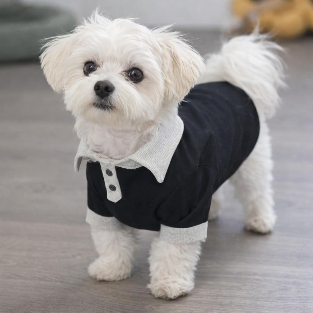 Dog T-Shirt for Dogs - Stylish Polo Style Pet Apparel with Black and White Color Block Design - Soft Ribbed Cotton Material - Comfortable Dog Clothing for Small to Medium Sized Dogs-image-42