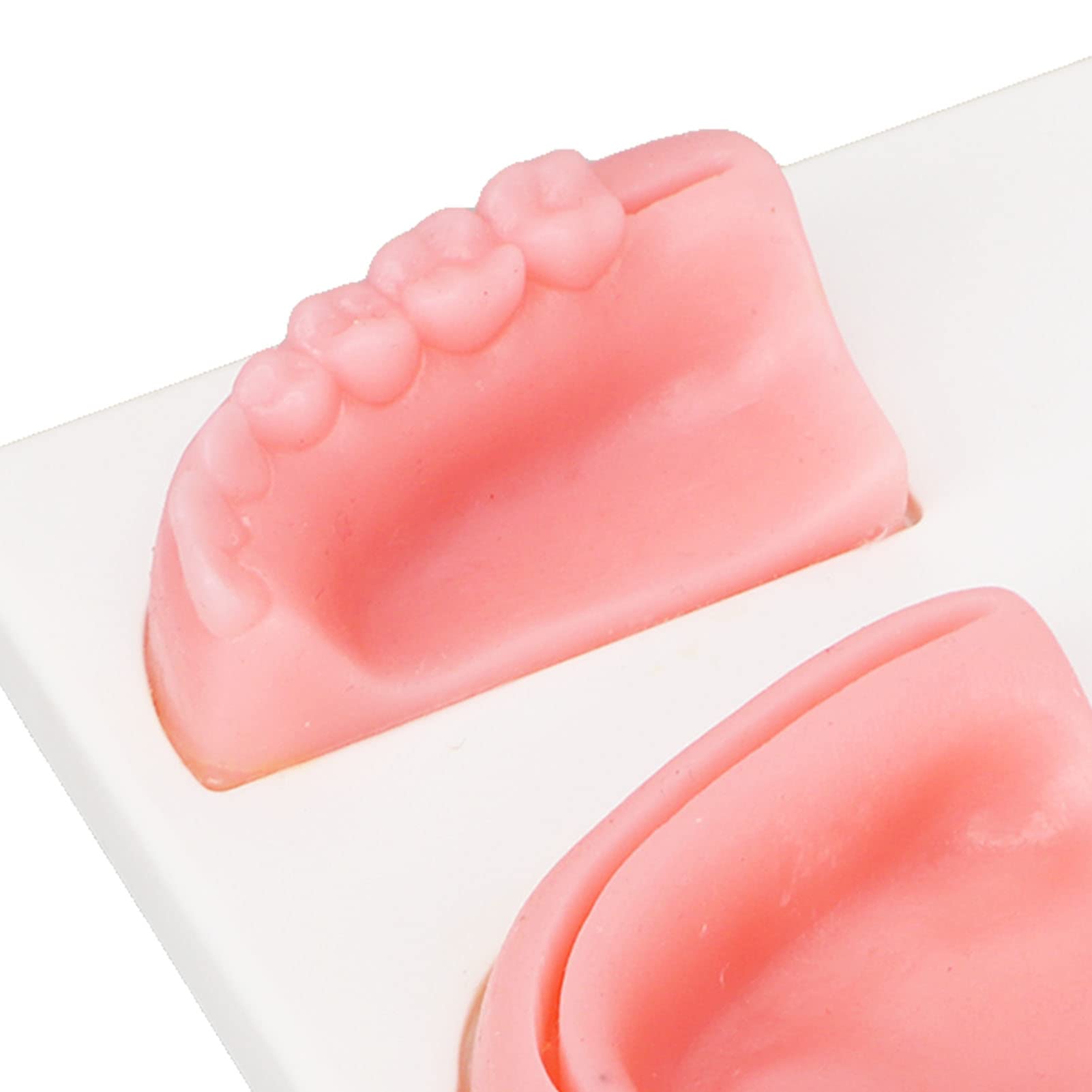 Fyearfly Orales Naht Trainingsset, Dentales Naht Übungsset, Dental Naht Praxis Kit Silikon Modell Zange Pinzette Gewinde Oral Naht Training Kit Für Das Nahttraining in Der Zahnmedizin