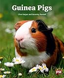Cengage Learning Australia Guinea Pigs.