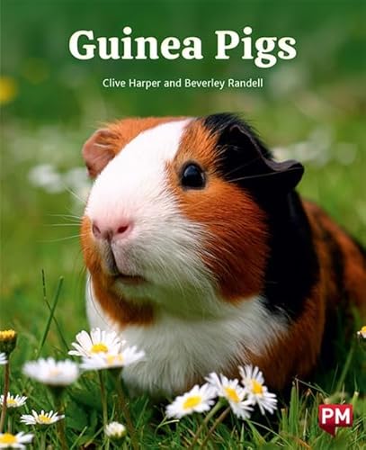 Cengage Learning Australia Guinea Pigs.