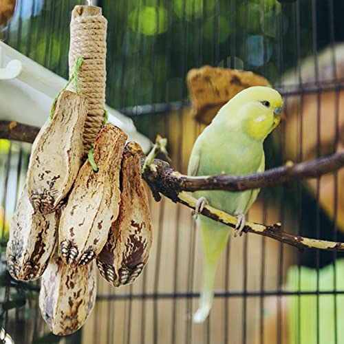 mastigar para pássaros grandes | Parakeet Swing Hangings Ring Bird Branch Chew Parrot Toys - Artigos