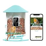 NETVUE Birdfy - Comedero Pajaros Inteligente con Cámara, Comedero Pajaros Exterior, Casita Pajaros con Cámara, Captura Automática de Videos de Aves, Reconocimiento AI de Especies de Aves (Solo Birdfy)