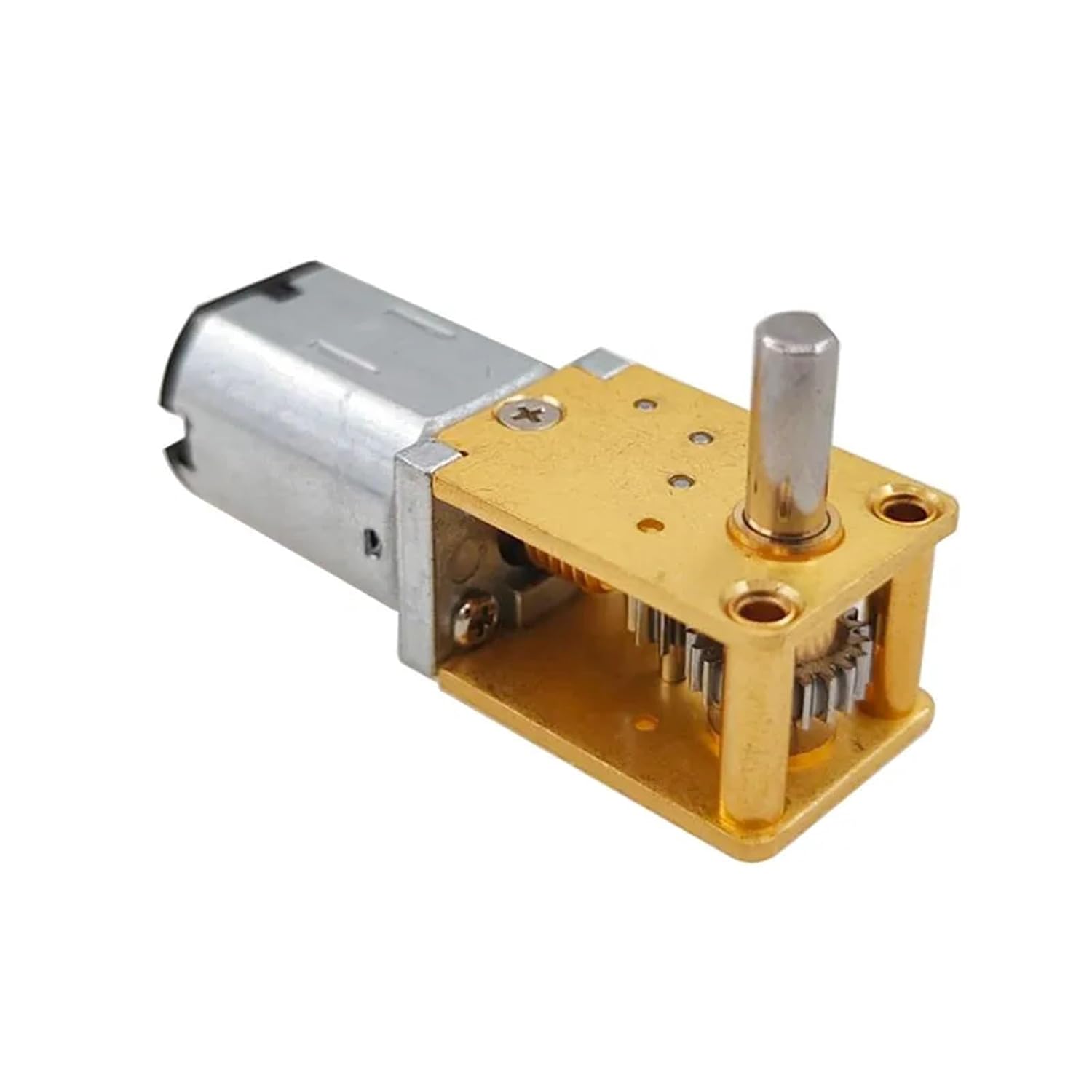 1pcs 1218-N20 Self Locking Worm Gear Miniature DC Reduction Gear Motor 12V Low-Speed Single Shaft Dual Shaft Motor(Dual Axis,12V200rpm)