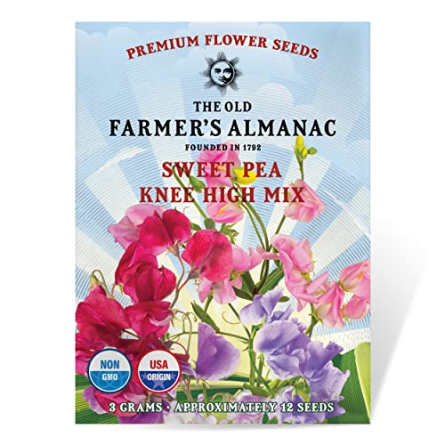 The Old Farmers Almanac Sweet Pea Seeds (Knee High Mix) - Approx 10 Flower Seeds - Premium Non-GMO Open Pollinated USA Origin