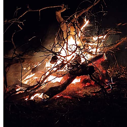 『Our Burning Bush』のカバーアート