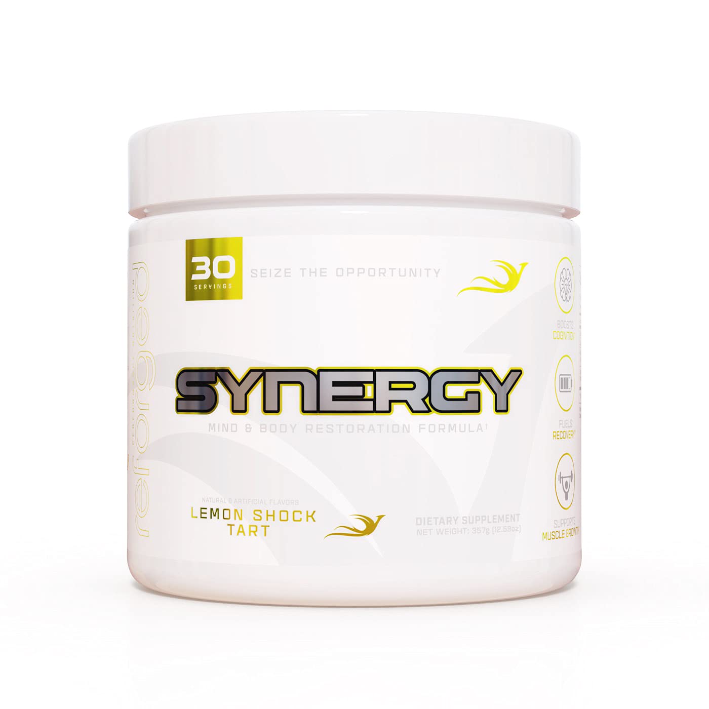 Reforged Synergy Post-Workout Recovery Formula | Nootropic Muscle Builder Drink Mix w/Creatine, Alpha-GPC, L-Carnitine L-T...