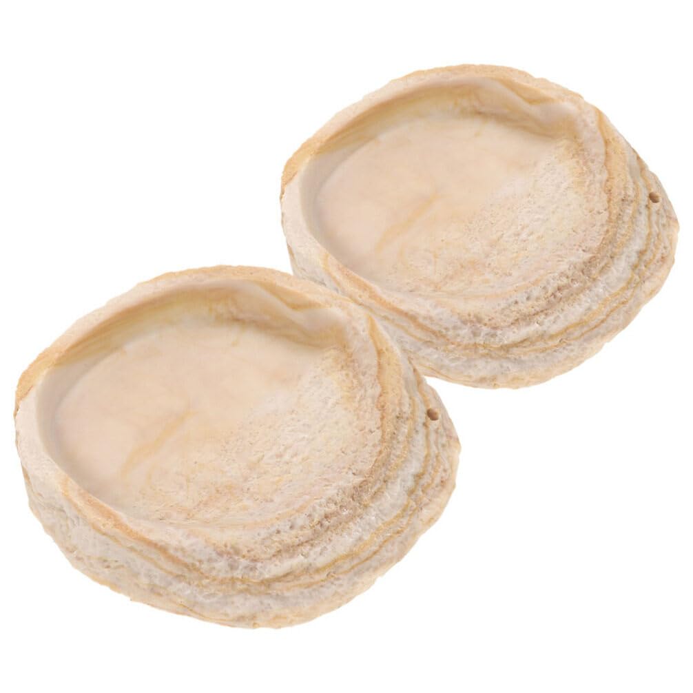 Happyyami Ciotola per Alimentazione dei Rettili in Resina 2 Pezzi Beige