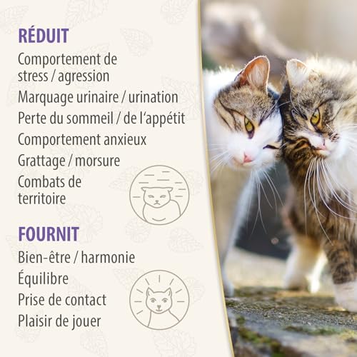 Felisept Family Comfort Set Diffuseur Chat Anti Stress + Recharge 45 ml -Anti Conflit Pour Chat - Anti stress chat - Avec De L'Herbe À Chat Naturelle - Détente Dans Une Maison Multi-Chats – vue 6