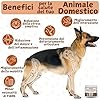 PETSUPLUS Joint Care Cani Articolazioni - Integratore Articolazioni Cane - Condroprotettori - Condroitina e Glucosamina, MSM, Collagene e Acido Ialuronico -120 Masticabili