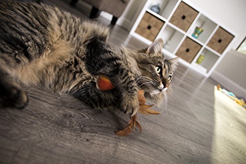 Smartykat 39341 2 Count) Flutter Balls Feather Cat Toys thumb #9