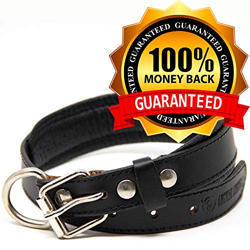 Logical Leather Padded Dog Collar - Best Full Grain Heavy Duty Genuine Leather Collar - Black - Medium #TOP6
