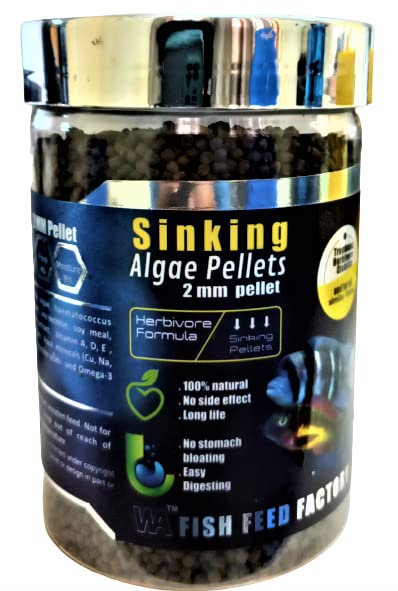 WA Sinking Algae Pellets (Size : 2MM Pellet), 500ML (270G) | Tropheus, Herbivore, Cichilds and for All Similar Fishes (B09XF5Y13C) Amazon Price History, Amazon Price Tracker