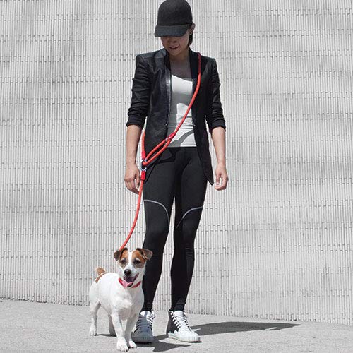 High5Dogs, Ergonomic Shoulder Lead for Dogs 250 cm, Modern and Stylish Design, Strong and Durable, Easy to Clean, Black, 7 mm - Image 3