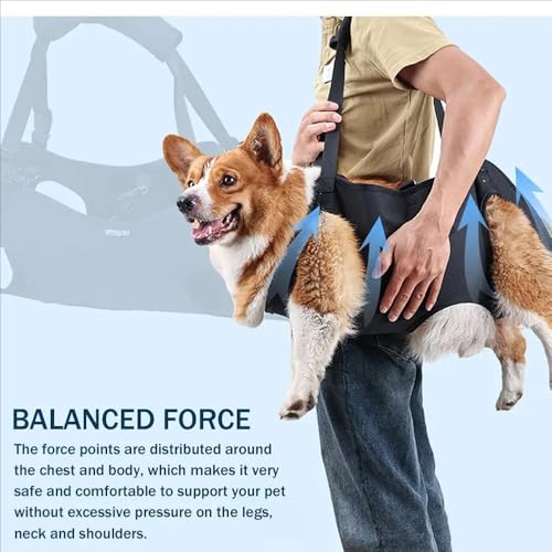 Tragehilfe Hund Treppe, Hundeliftgeschirr Mobilitätshilfen Einstellbar - Unterstützung für Mittelgroße Ältere Hunde Mit Schwachen Beinen, Chirurgie Rehabilitation (XL)
