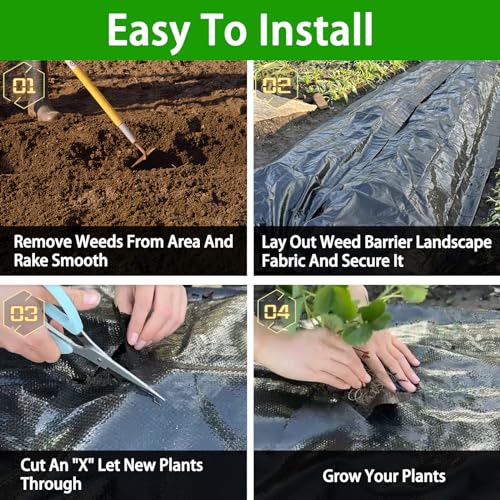 Tierra Y Fertilizantes, Shoes Imagen adicional