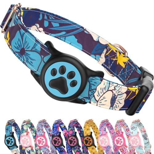 Collier AirTag pour chien idéal pour les randonnées et balades au parc