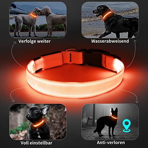 KOSKILL Leuchthalsband Hund Wiederaufladbare USB LED Hundehalsband Wasserdichtes Leuchtendes Hunde Halsband Einstellbare Super Helle für Mittlere Große Hunde (Orange, M)