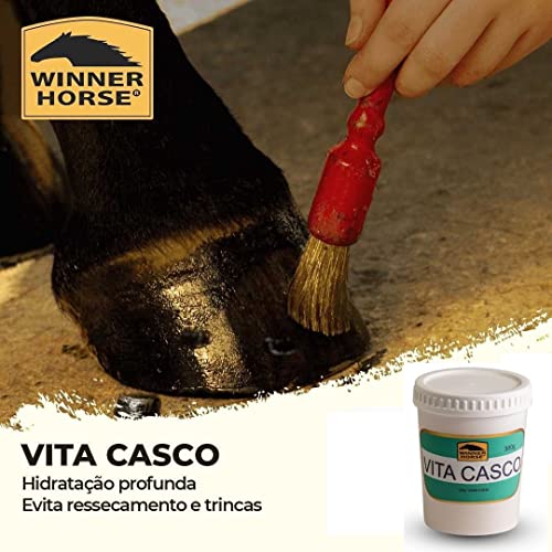 Vita Casco Winner Horse - Cera Para Cascos 500g