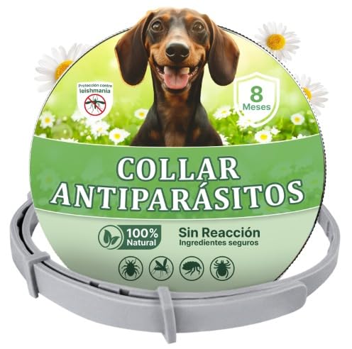 Collar Antipulgas Perros - Collar Antiparasitario Perros pequeños y Grande - Leishmaniosis (Mosquitos), Pulgas y Garrapatas - 8 Meses - 63cm Ajustable, Repelente 100% Natural, Impermeable