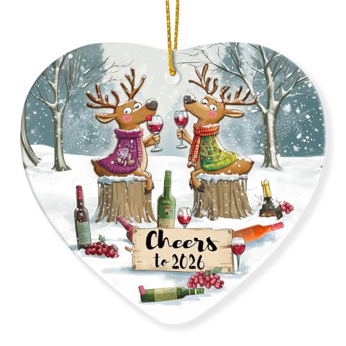 New Year Ornaments - Funny Xmas Gifts for Friends Coworkers