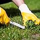 Okuliermesser Gartenmesser: Klappbar Okuliermesser, Gesamtlänge: 16,5 cm, Veredelungsmesser mit 2 Klingen, Multifunktionale Gartenmesser zum Pfropfen,Beschneiden, Reparieren von Unkrautbüschen