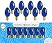 Rite -Lite Judaica Blue Electric Menorah Bulbs, Box 0f 9